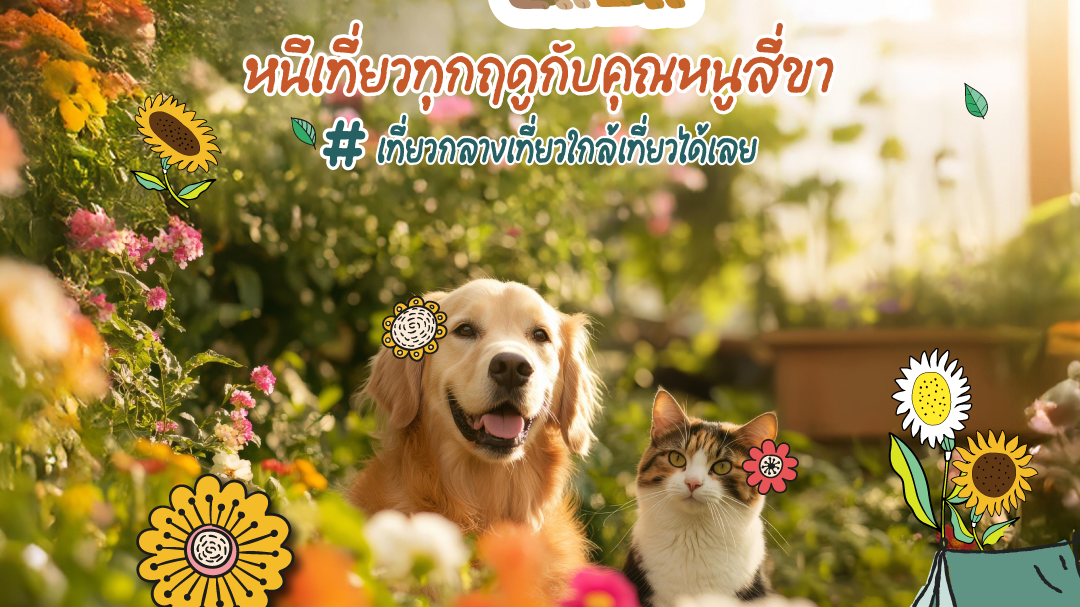 ททท. รุกตลาดเที่ยวกับสัตว์เลี้ยง เปิดตัวโครงการ “Fur Season Escape” หนีเที่ยวทุกฤดูกับคุณหนูสี่ขา  ชวนสัมผัสประสบการณ์ท่องเที่ยว Pet-friendly ระดับพรีเมียม พร้อมรับสิทธิประโยชน์แบบจัดเต็ม