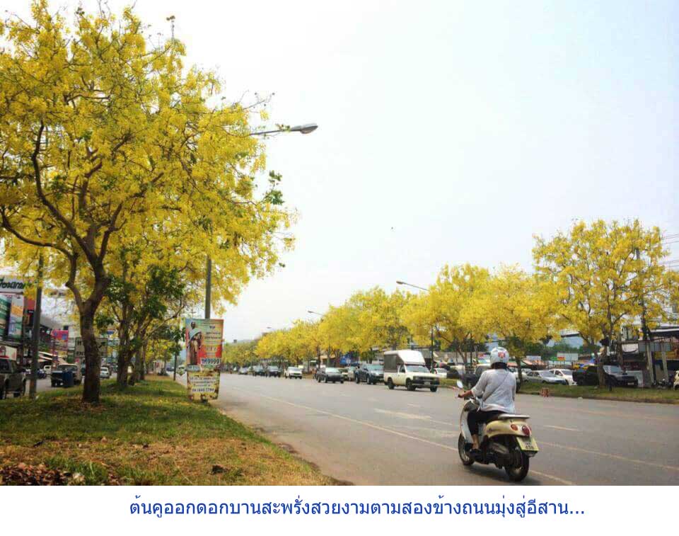การท่องเที่ยวแห่งประเทศไทย (ททท.) สำนักงานขอนแก่น ขอเชิญนักท่องเที่ยวร่วมงาน "สุดยอดสงกรานต์อีสาน เทศกาลดอกคูน เสียงแคน และถนนข้าวเหนียว" ตั้งแต่วันที่ 8 - 15 เมษายน 2558 ณ บึงแก่นนคร และถนนศรีจันทร์