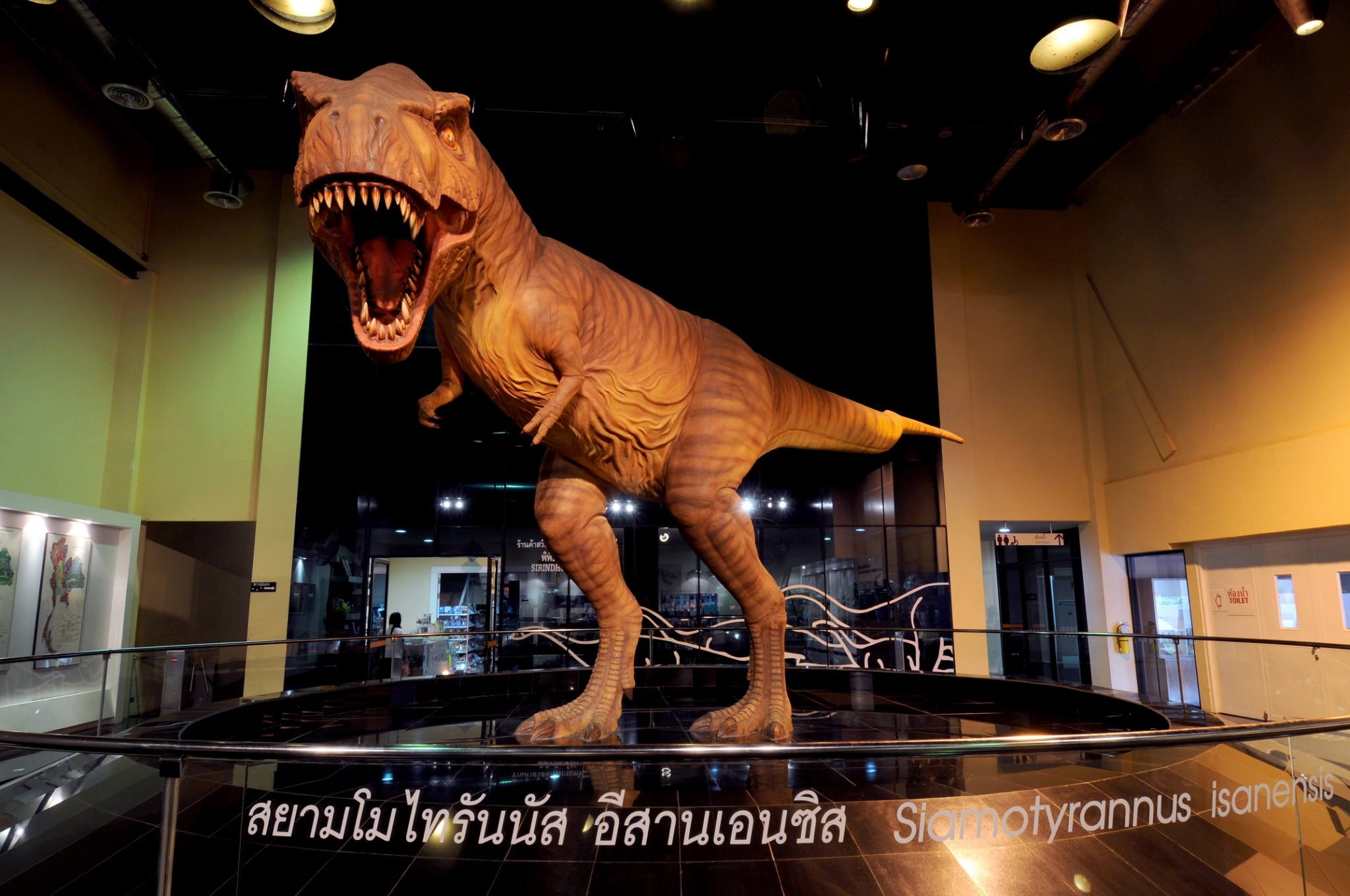 ททท. ขอนแก่น ชวนตะลุยเส้นทางไดโนเสาร์สะออน กับแพ็คเกจทัวร์สุดคุ้มช่วงวันแม่ “พาลูกไปฝึกล่าไดโนเสาร์”