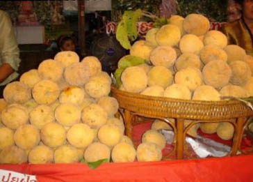 งานเทศกาลกระท้อนหวานและของดีเมืองลพบุรี ครั้งที่ ๒๑ ประจาปี ๒๕๕๕ ระหว่างวันที่ ๘ – ๑๙ มิถุนายน ๒๕๕๕ ณ บริเวณหน้าที่ว่าการอาเภอเมืองลพบุรี