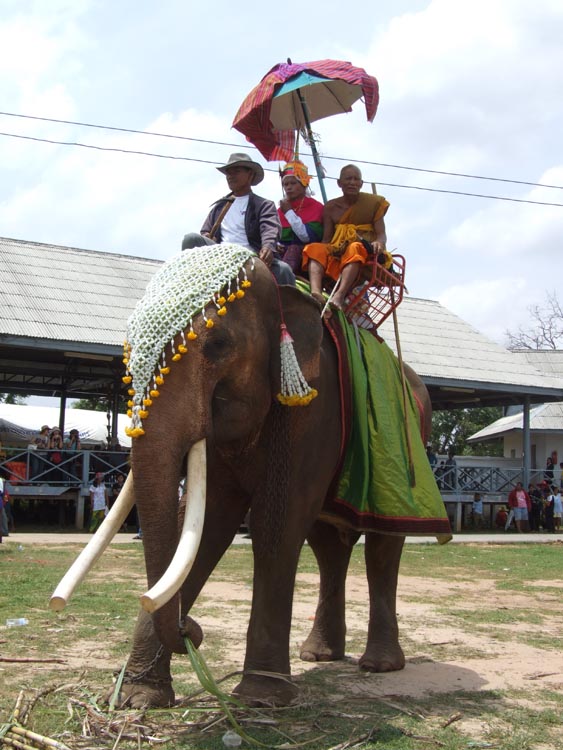 ททท. ขอเชิญชายไทยอายุ ๒๐ ปีขึ้นไปร่วมสืบสานงานบุญประเพณี “บวชนาคช้าง” ที่ยิ่งใหญ่ของจังหวัดสุรินทร์