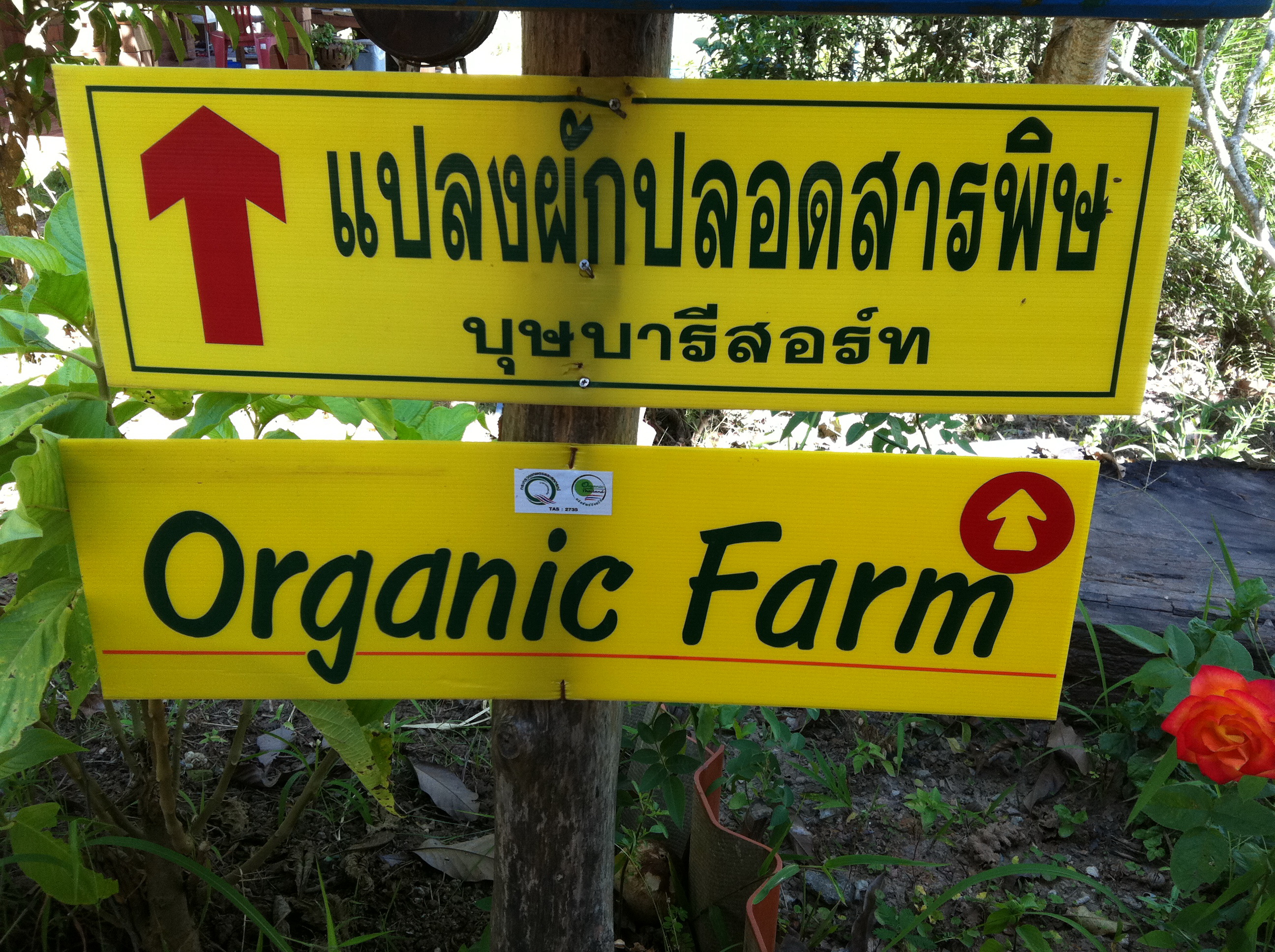 เปิดศูนย์การเรียนรู้ “พอเพียงเยี่ยงพ่อ”