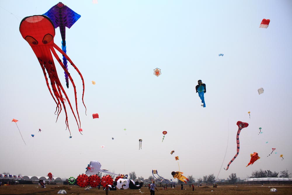 เทศกาลว่าวไทยและว่าวนานาชาติ  ครั้งที่ 12