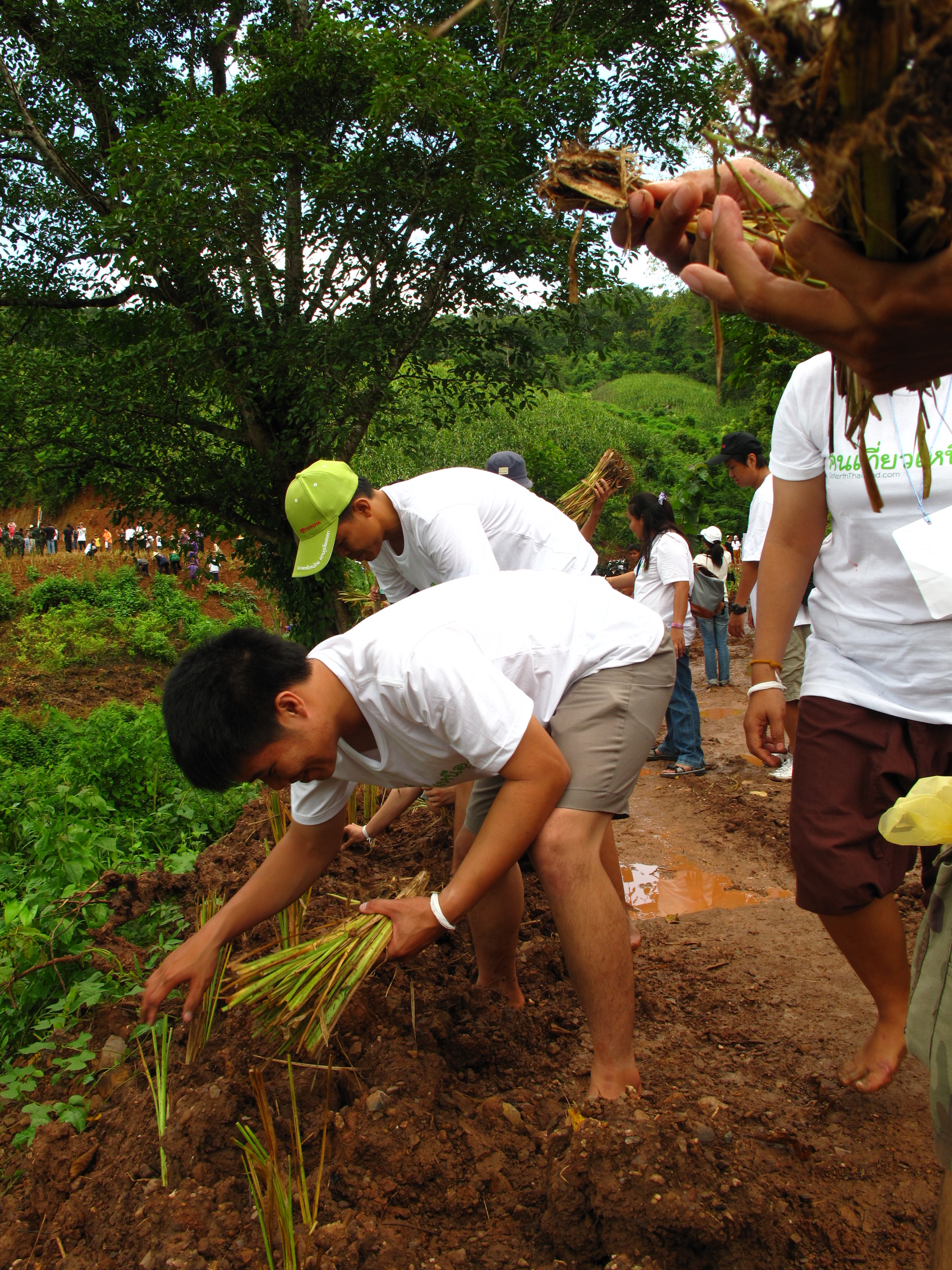 ททท. ปลุกกระแสรักษ์ปายผ่านโครงการ “เที่ยวเหนือใส่ใจ เที่ยวไทยยั่งยืน”