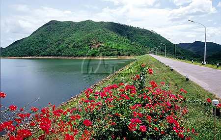 สานใจล้อมป่า จากต้นน้ำ สู่ปลายฟ้า ตอน เพาะเมล็ดพันธุ์วันพ่อ