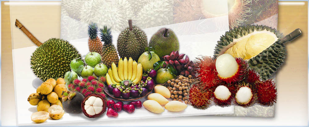 ททท. ขอเชิญร่วมสัมผัสดินแดนมหัศจรรย์แห่งผลไม้ในงานเทศกาล “เงาะ - ทุเรียน และของดีศรีสะเกษ”