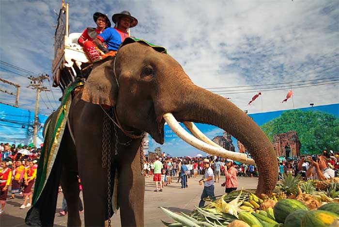 ททท. ชวนชมขบวนช้างแห่เทิดพระเกียรติสุดยิ่งใหญ่ พร้อมตักบาตรบนหลังช้างในวันช้างไทย ประจำปี 2558 ณ จังหวัดสุรินทร์